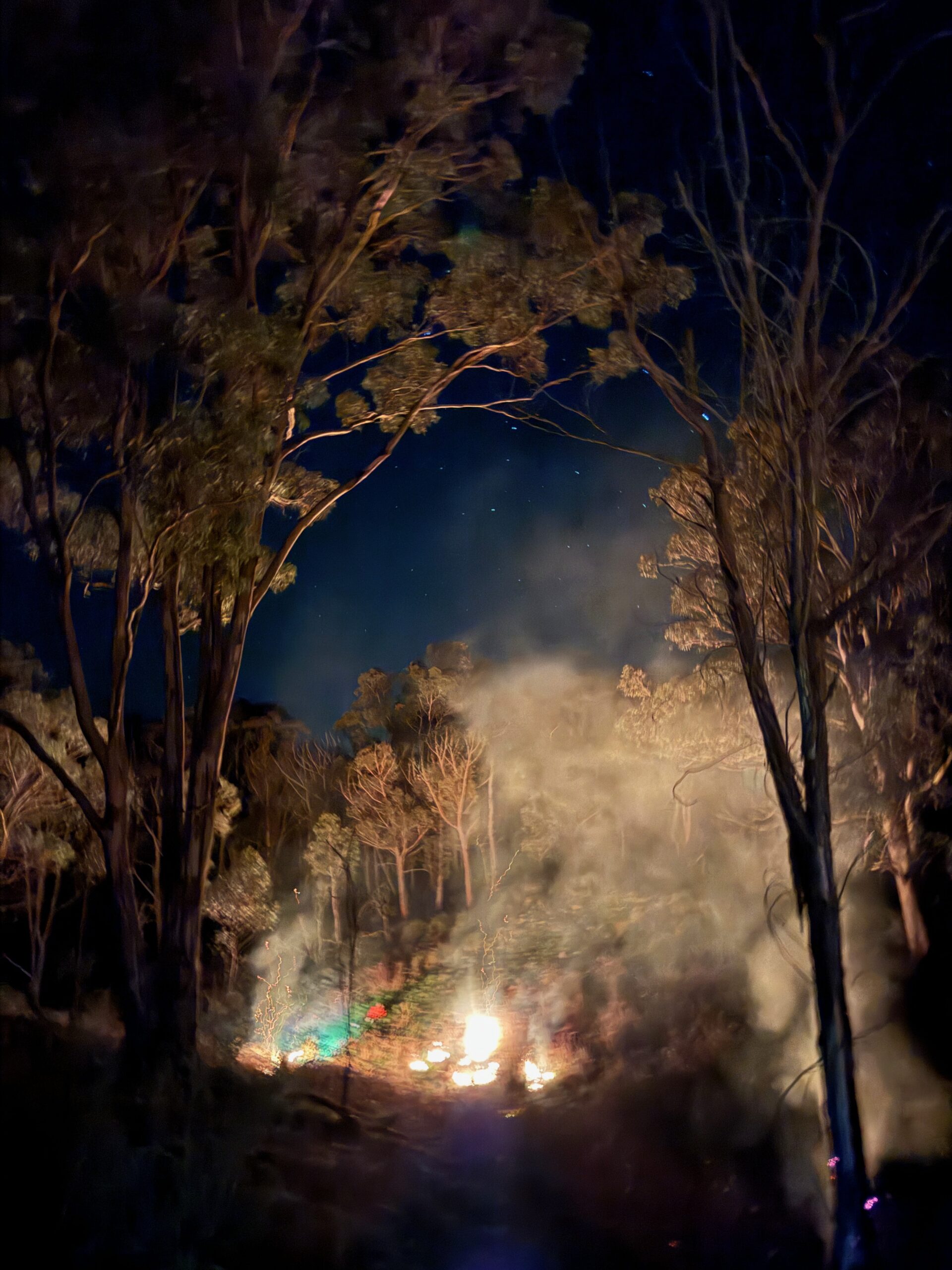 Cultural burn on Wiradjuri Country